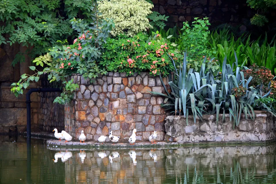 Photo of Lodhi Garden, Lodhi Gardens, New Delhi, Delhi, India by Abhay Kumar