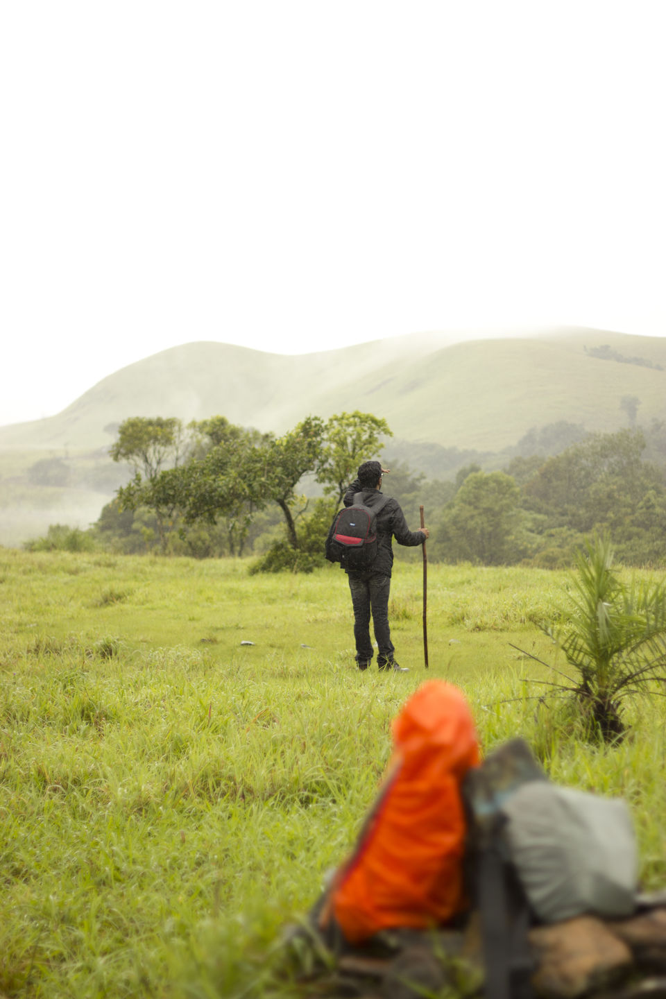 Photo of Kudremukha Trek – One of the many nature’s marvels of South India by Abhishta Kumar