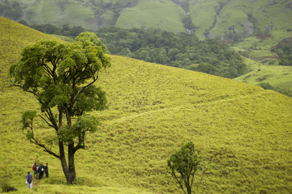 Photo of Kudremukha Trek – One of the many nature’s marvels of South India by Abhishta Kumar