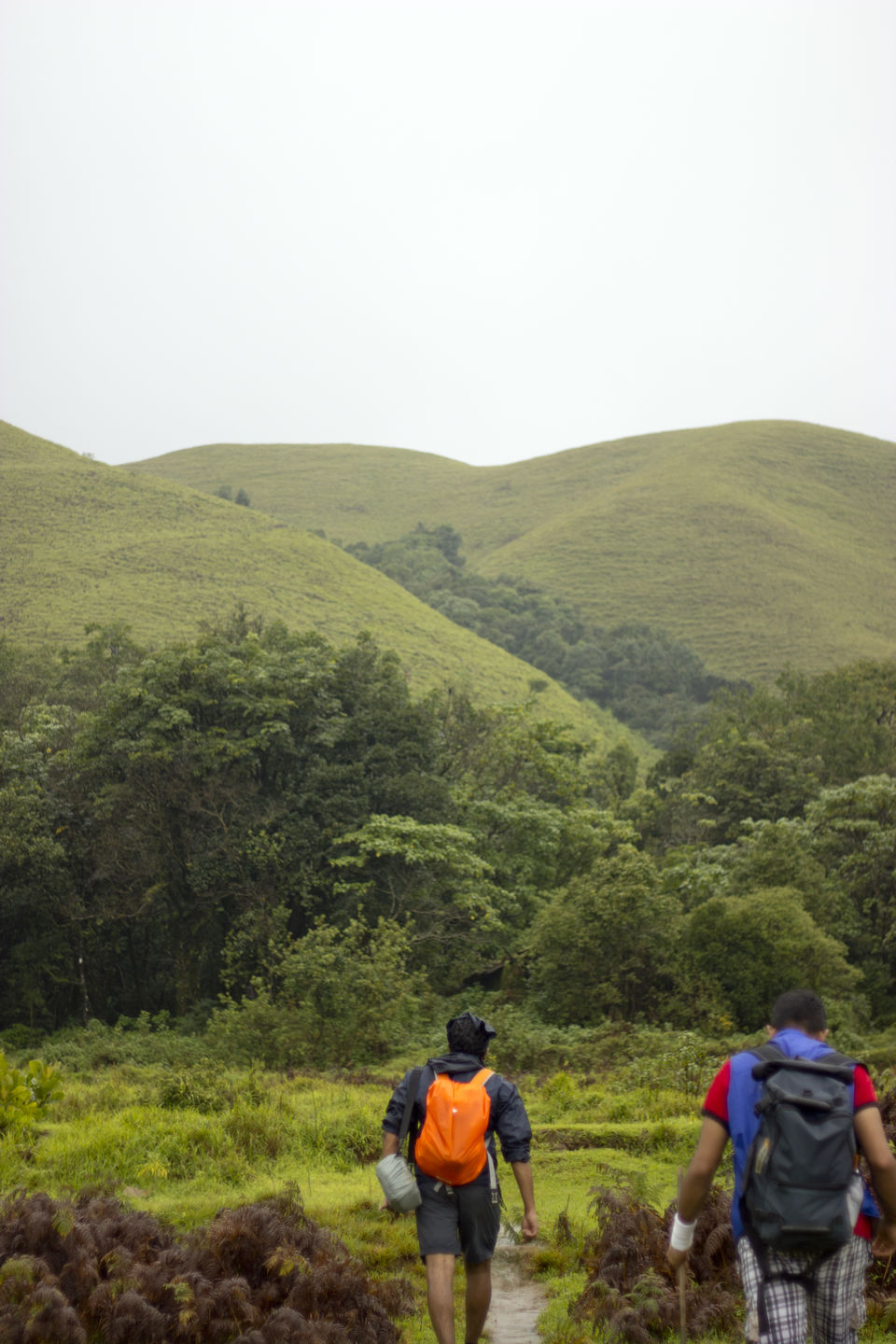Photo of Kudremukha Trek – One of the many nature’s marvels of South India by Abhishta Kumar