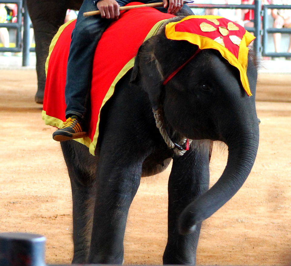 Photo of Thailand - South east Asia's Tourist Capital #thailandinpictures by Abhishta Kumar