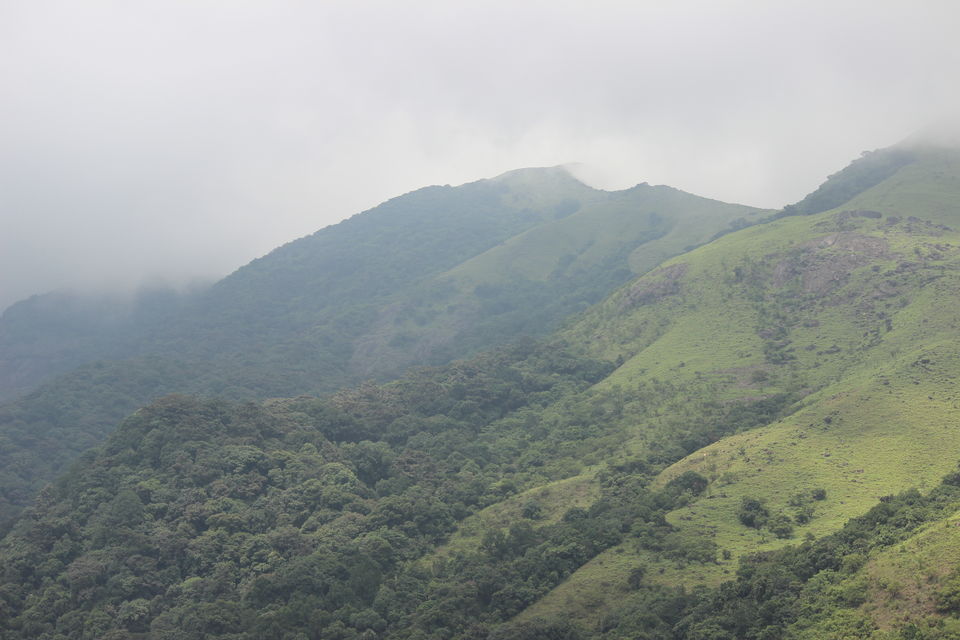 Photo of Kumaraparvatha trek – the most adventurous trek of my life 2/2 by Abhishta Kumar