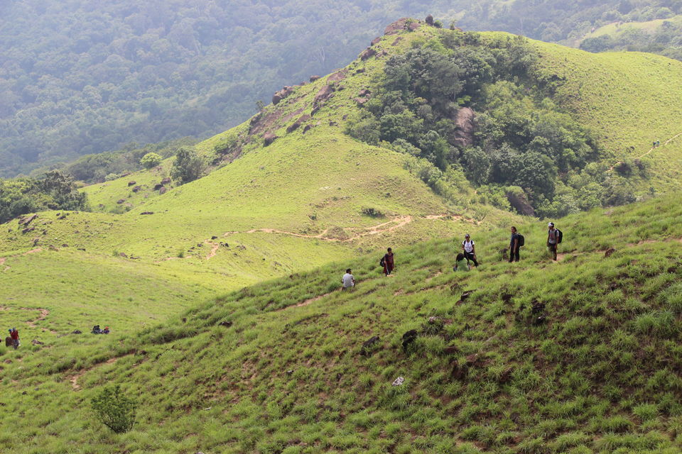 Photo of Bhattara Mane Path, Girigadde, Karnataka, India by Abhishta Kumar