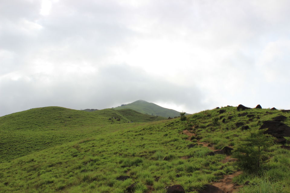 Photo of Kumaraparvatha trek – the most adventurous trek of my life by Abhishta Kumar