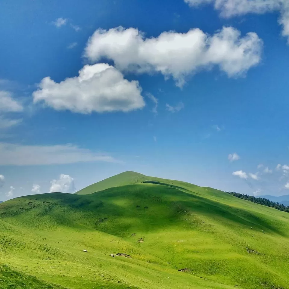 Photo of Ali Bugyal, Roopkund Trail, Chamoli, Uttarakhand, India by Leo Saldanha