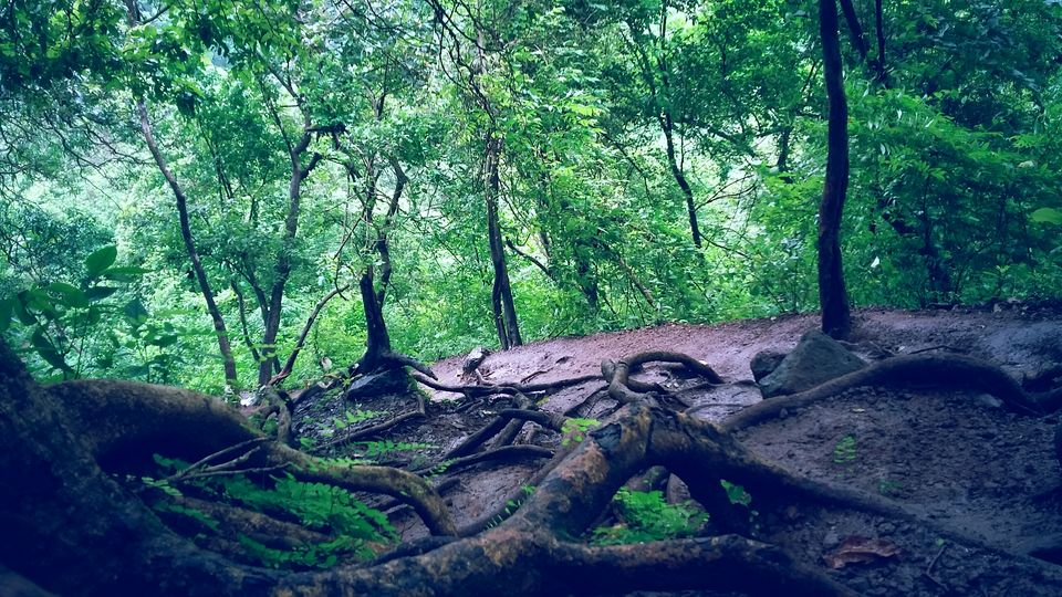 Photo of Karnala Trek by Leo Saldanha