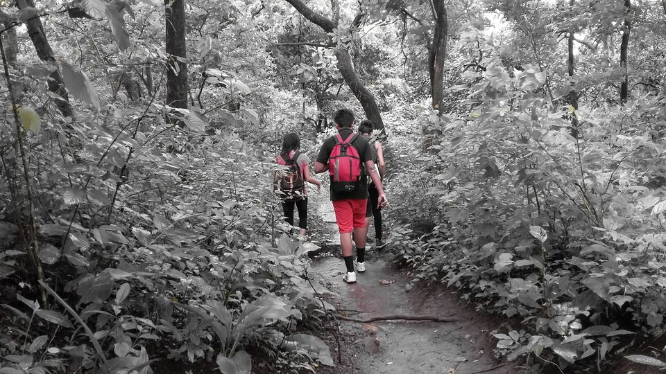 Photo of Karnala Trek by Leo Saldanha