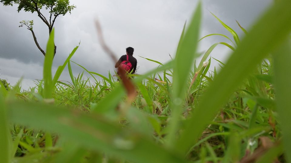 Photo of Karnala Trek by Leo Saldanha