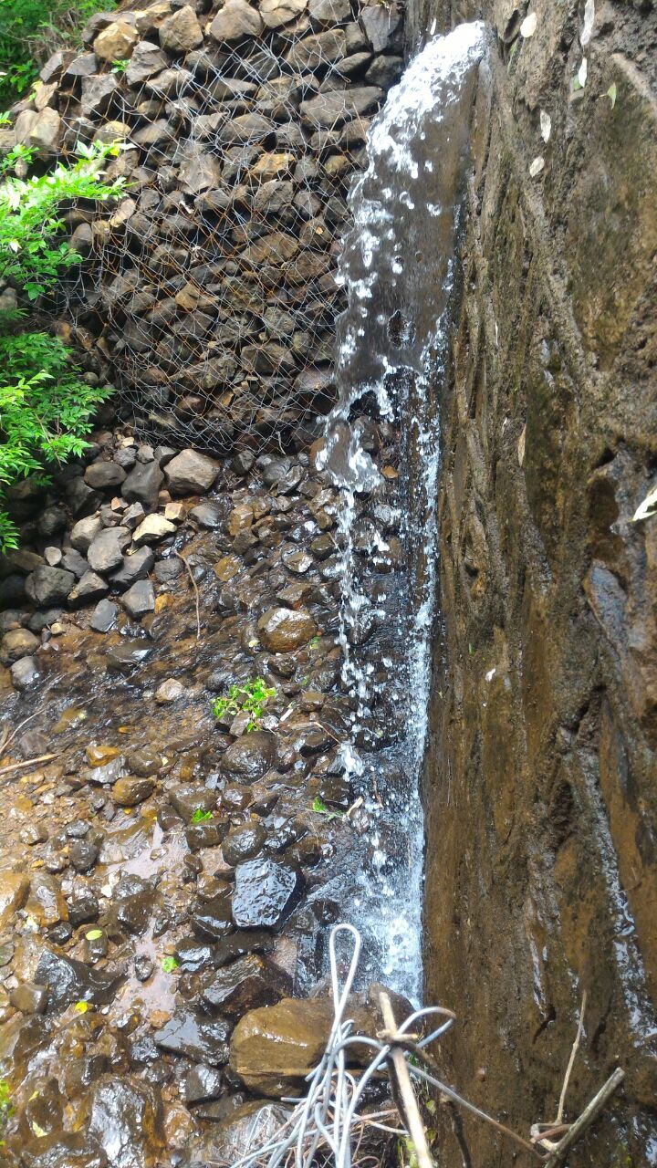 Photo of Karnala Trek by Leo Saldanha