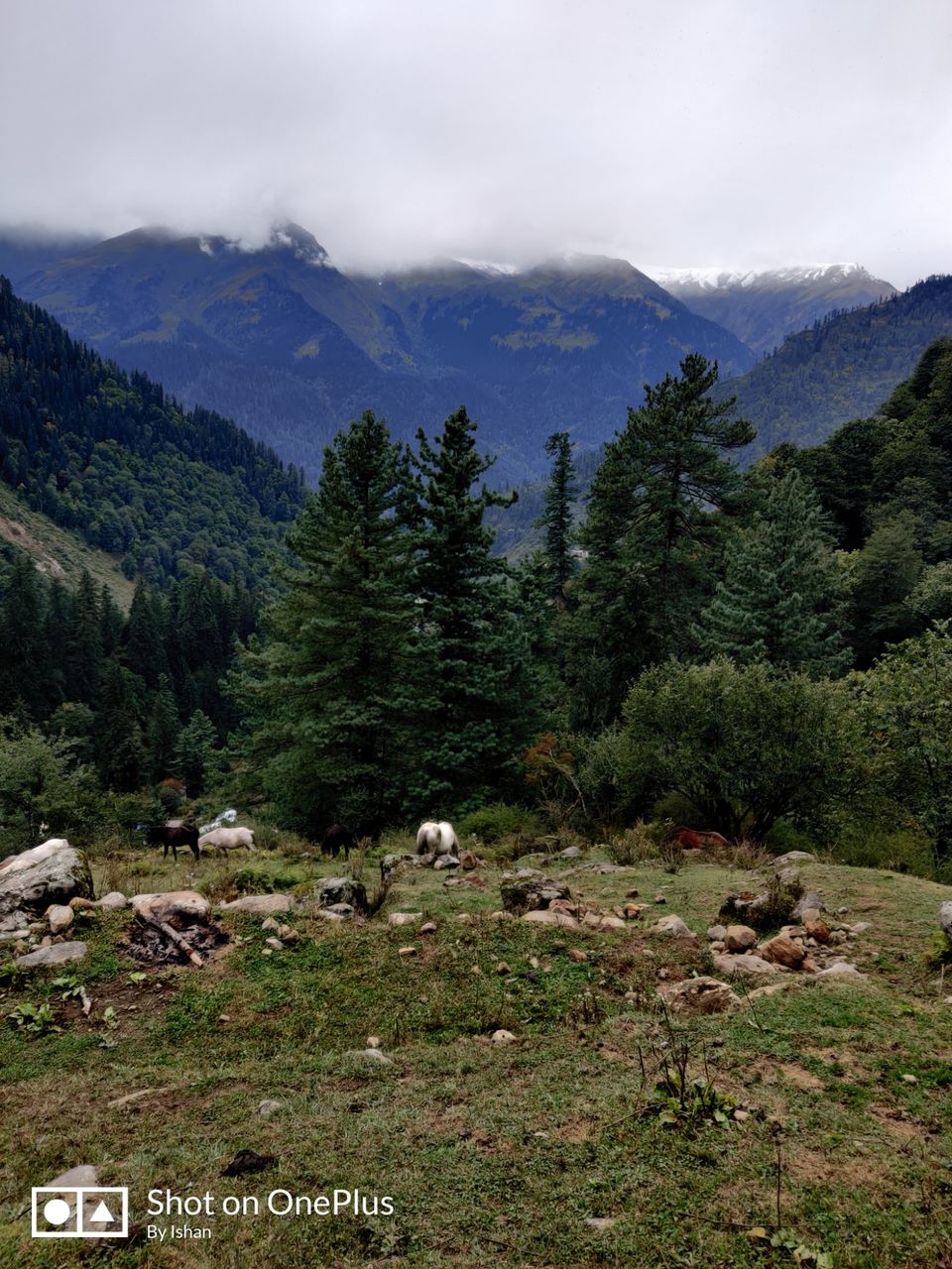 Photo of BEYOND TOSH - Trek to Buddha Ban! by ishan singh
