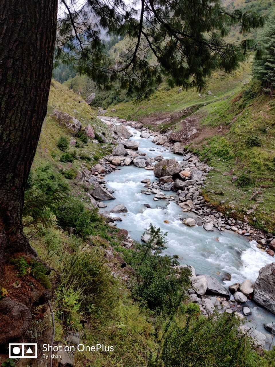 Photo of BEYOND TOSH - Trek to Buddha Ban! by ishan singh