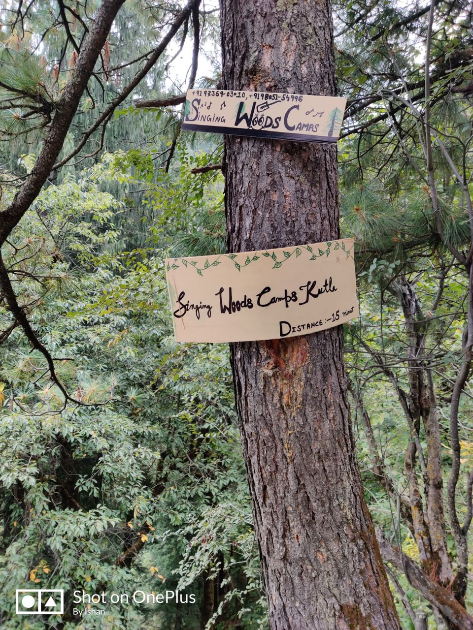 Photo of BEYOND TOSH - Trek to Buddha Ban! by ishan singh