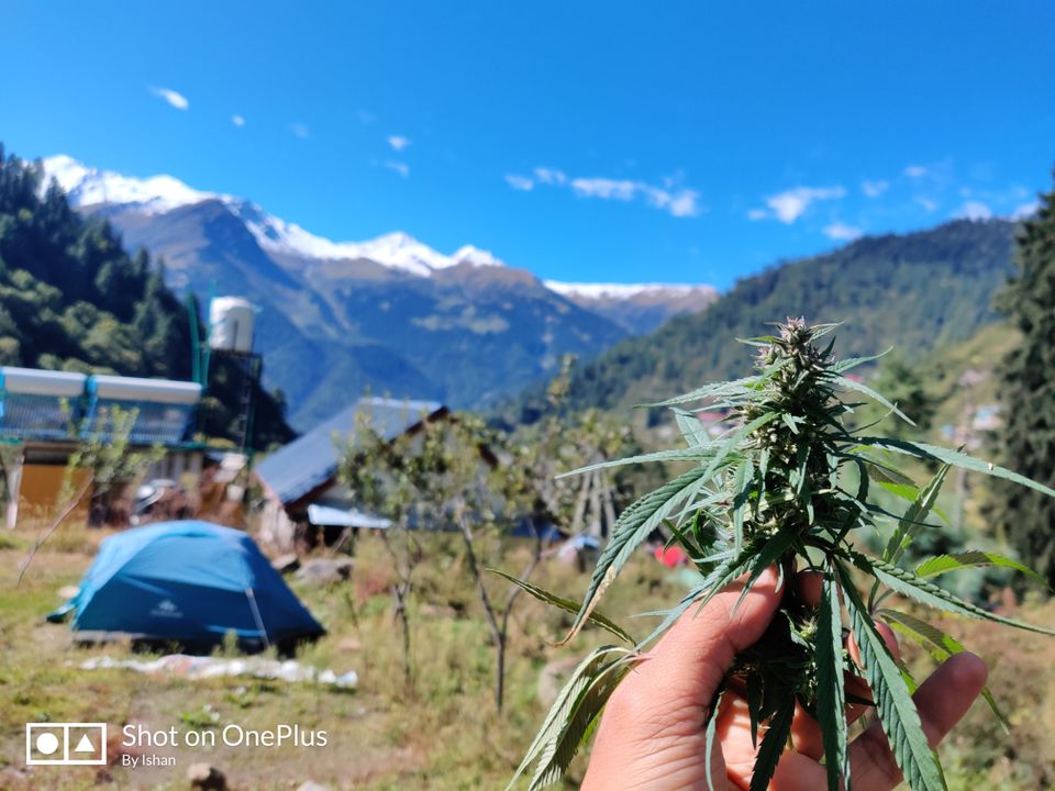 Photo of BEYOND TOSH - Trek to Buddha Ban! by ishan singh