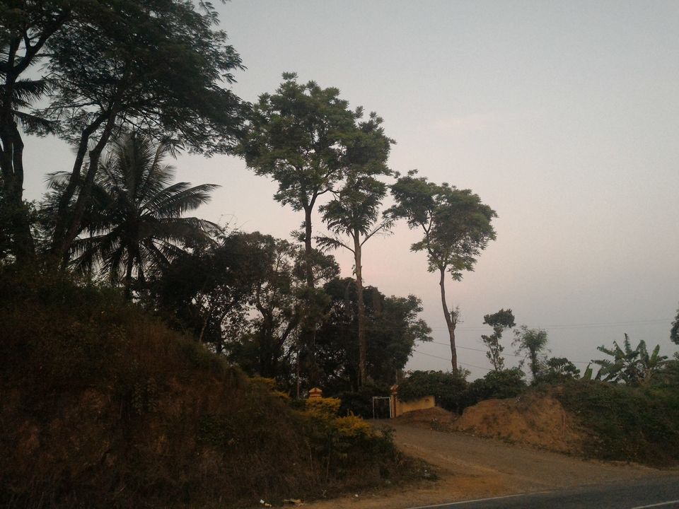 Photo of Coorg: The Green Escape 3/3 by Kanika Paul