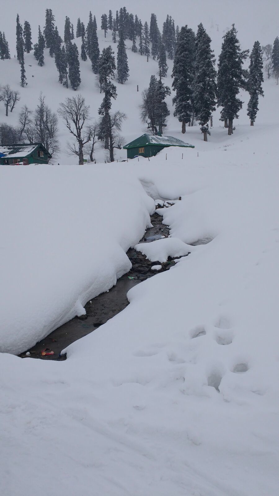 Photo of Gulmarg: Trip to Heaven 1/4 by Kanika Paul