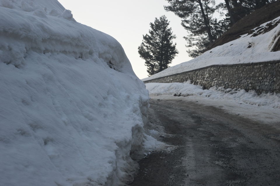 Photo of Gulmarg: Trip to Heaven 2/4 by Kanika Paul