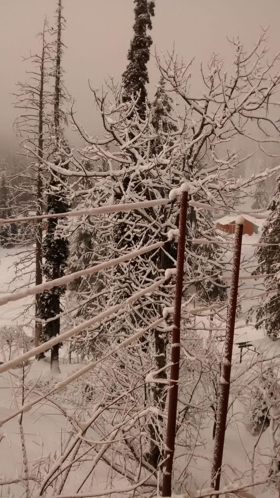 Photo of Gulmarg: Trip to Heaven 4/4 by Kanika Paul