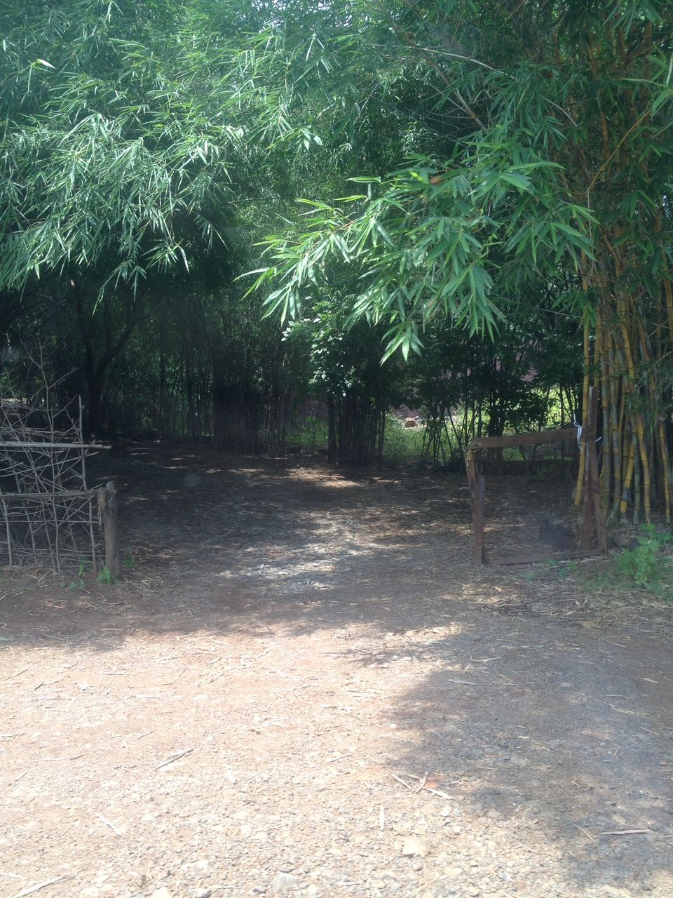 Photo of There’s A Hidden Village Just Outside Mumbai 1/10 by Ashlyn Fernandes