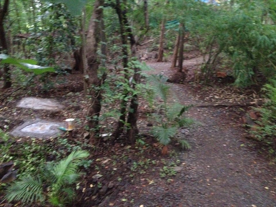 Photo of There’s A Hidden Village Just Outside Mumbai 6/10 by Ashlyn Fernandes