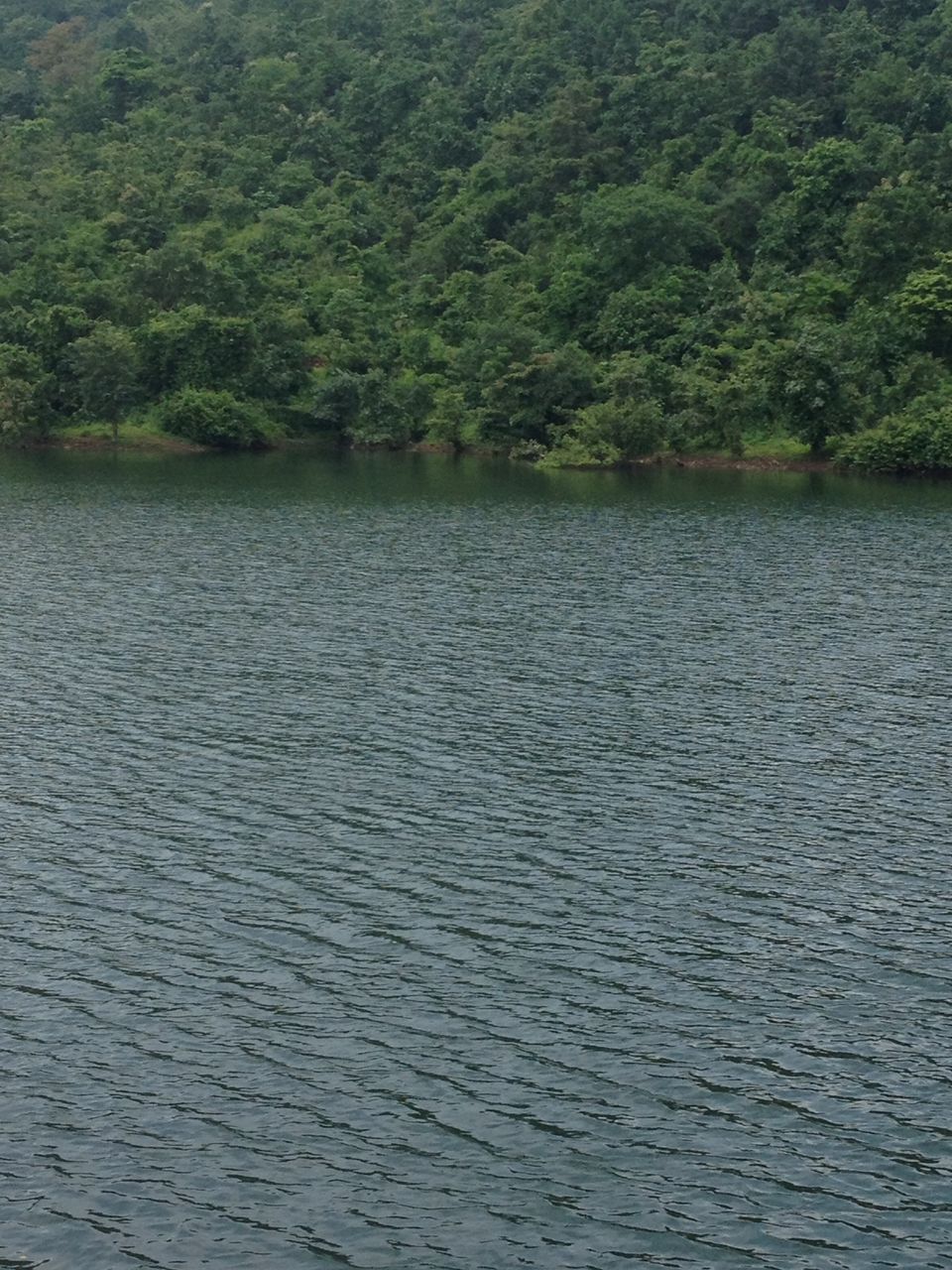 Photo of There’s A Hidden Village Just Outside Mumbai 9/10 by Ashlyn Fernandes