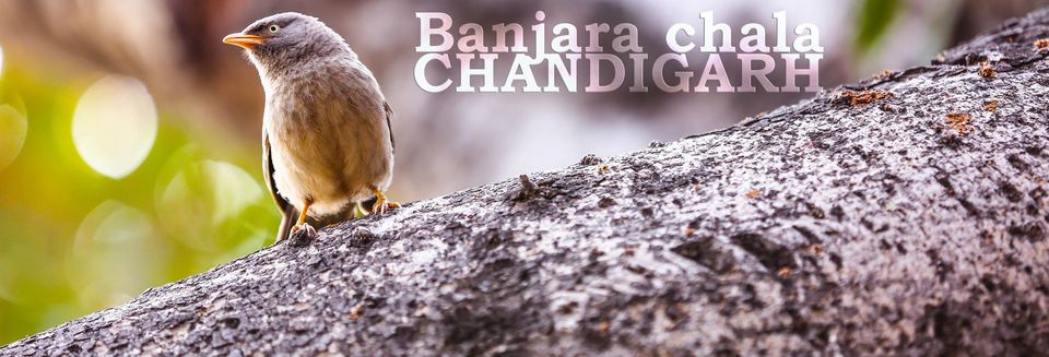 Photo of Banjara Chala Chandigarh 1/96 by Gaurav Pandey