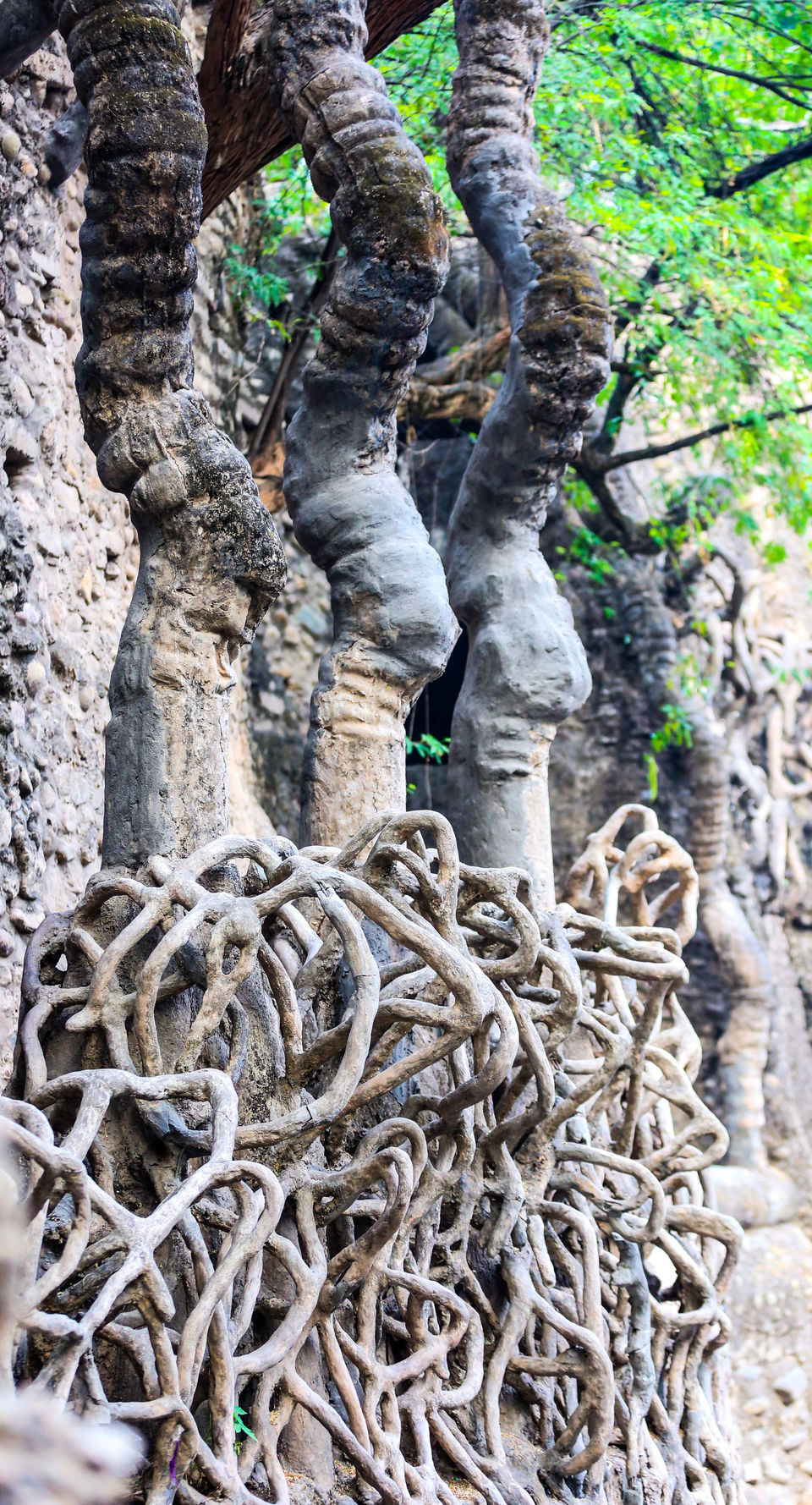 Photo of Banjara Chala Chandigarh 17/96 by Gaurav Pandey