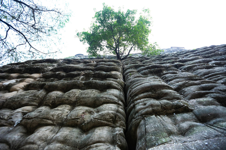 Photo of Banjara Chala Chandigarh 42/96 by Gaurav Pandey