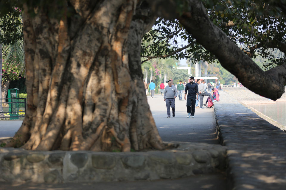 Photo of Banjara Chala Chandigarh 91/96 by Gaurav Pandey