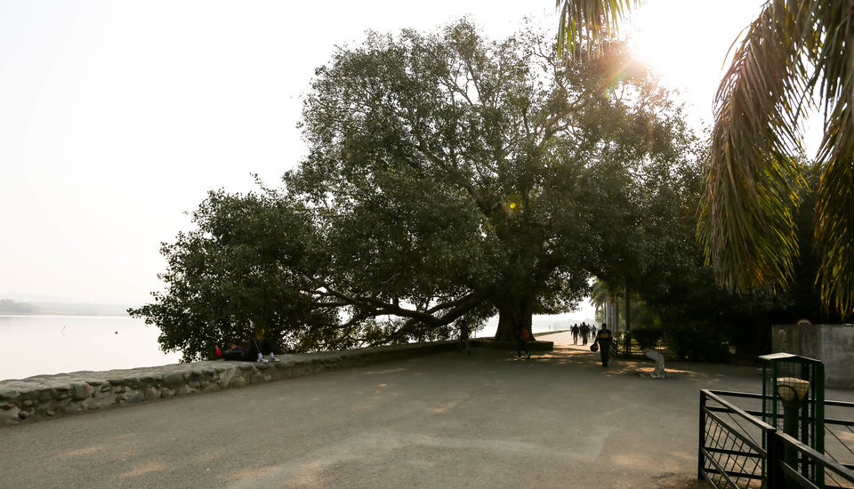 Photo of Banjara Chala Chandigarh 95/96 by Gaurav Pandey
