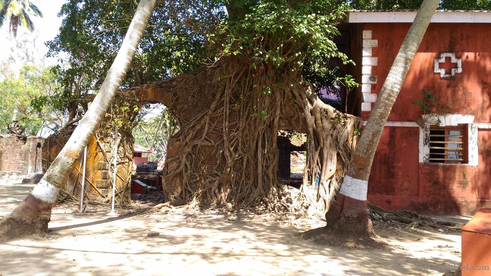 Photo of Ross Island- Occupied by Trees now by RD Prajapati