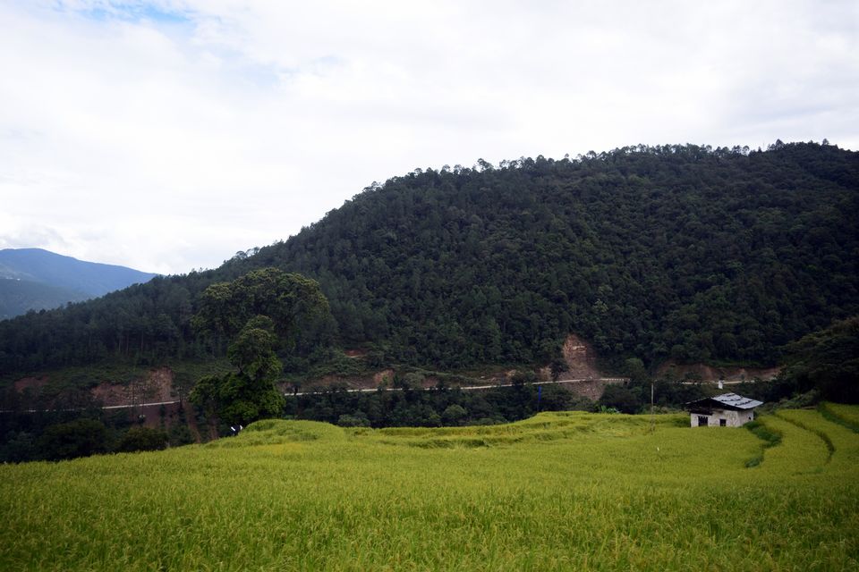 Photo of Ten things to look forward from a trip to Bhutan: by Debabrat Das