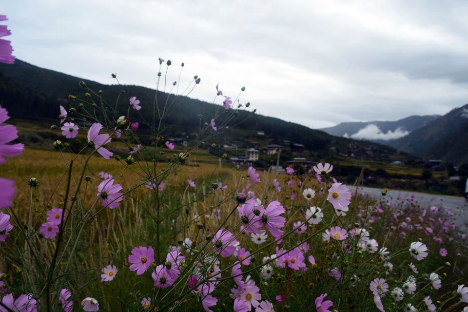 Photo of Ten things to look forward from a trip to Bhutan: by Debabrat Das