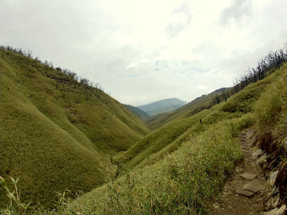 Photo of To the greener pasture @ Dzukou valley by Debabrat Das