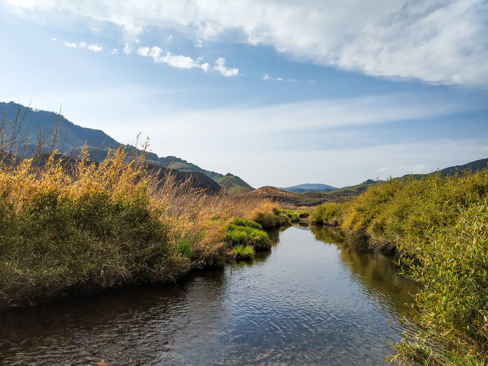 Photo of To the greener pasture @ Dzukou valley by Debabrat Das