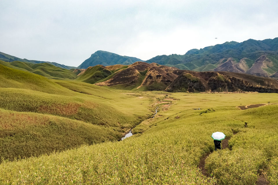 Photo of To the greener pasture @ Dzukou valley by Debabrat Das