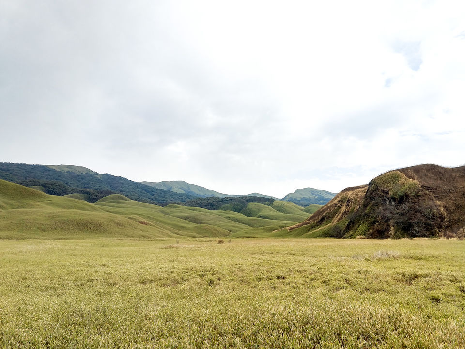 Photo of To the greener pasture @ Dzukou valley by Debabrat Das