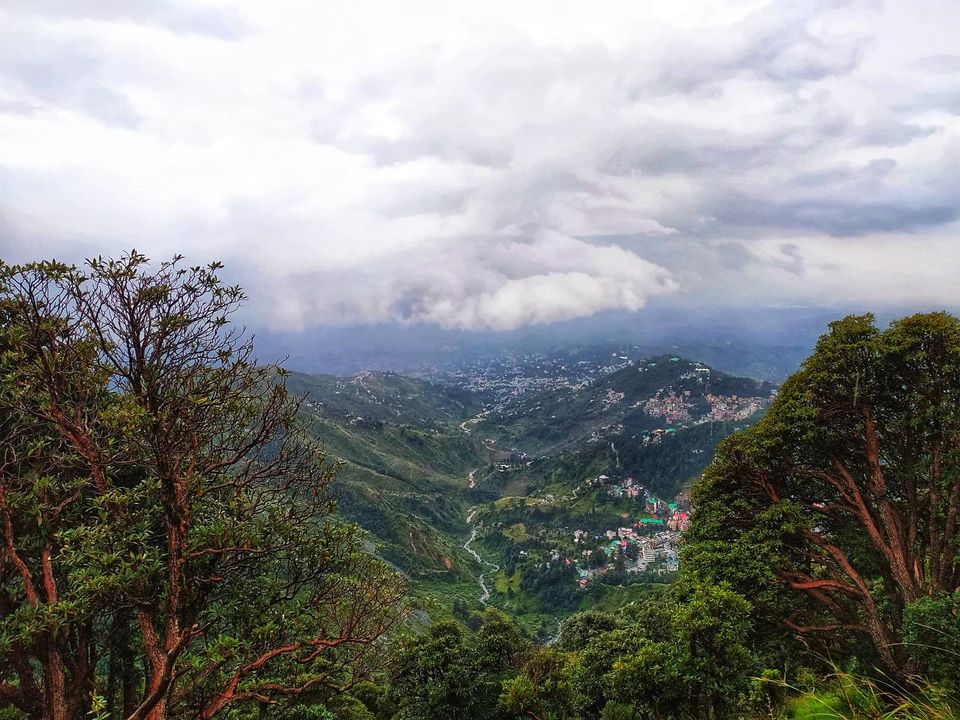 Photo of Life Lessons From My First Ever Trek to Triund Top! by Priya Chaudhary
