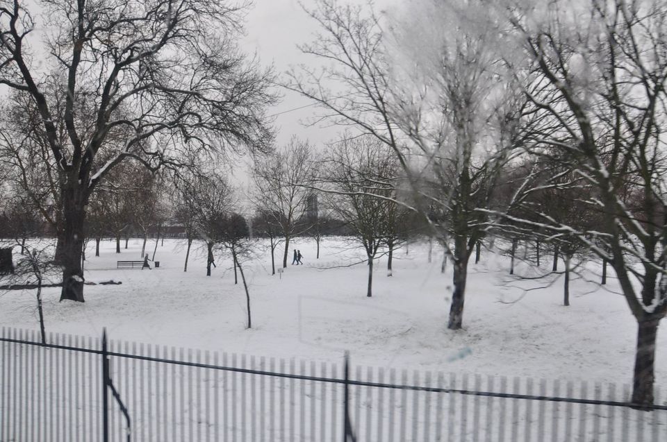 Photo of Heaven of White - SnowFall :) by Rahul Singh