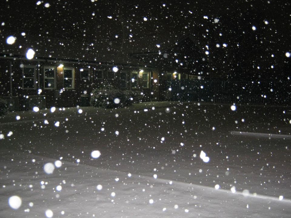 Photo of Heaven of White - SnowFall :) by Rahul Singh
