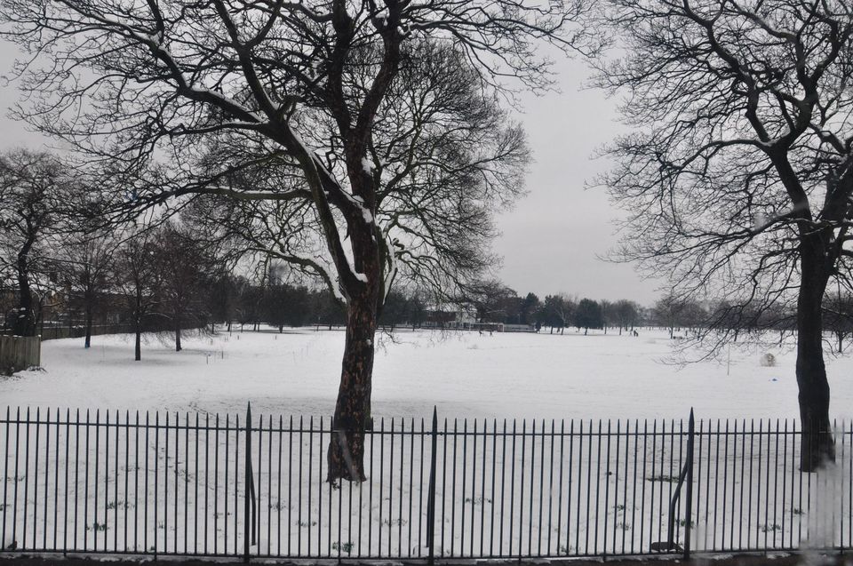 Photo of Heaven of White - SnowFall :) by Rahul Singh