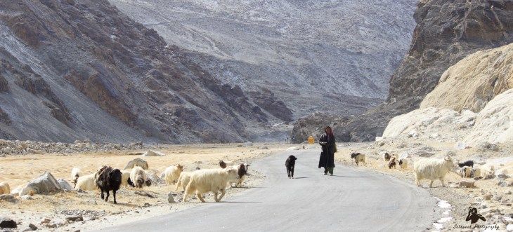 Photo of Pangong Tso by Satheesh K Chinnappan