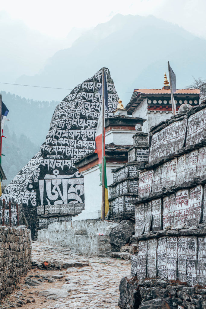 Photo of 16 Things They Don’t Tell You About Trekking In The Himalayas 2/4 by Nithin