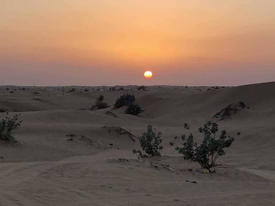 Photo of Dubai: Desert Thrills 7/15 by Nithin