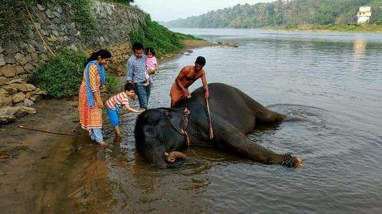 Photo of List of Top 21 Amazing Things to Do In Kerala 1/5 by Nithin