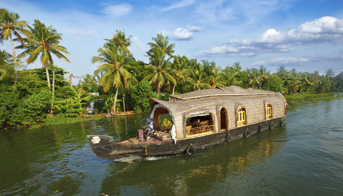 Photo of List of Top 21 Amazing Things to Do In Kerala 3/5 by Nithin