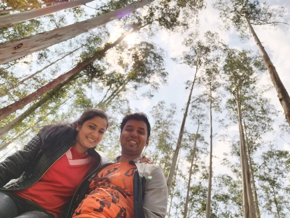 Photo of Eucalyptus Tree Photo Point, Moolakadai, Munnar, Kerala, India by Nithin