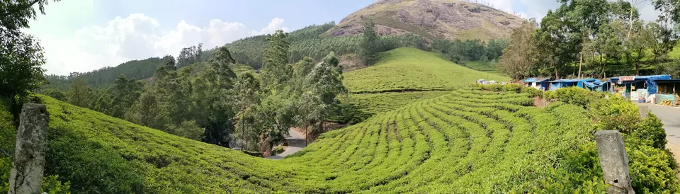 Photo of Photo Point, Munnar-Kumily Highway, Kavumbhakam, Pooppara, Kerala, India by Nithin