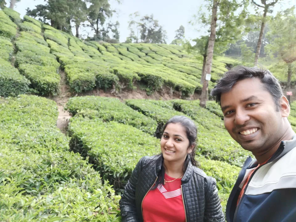 Photo of Mattupatty Dam, State Highway 18, Mattupetty, Kerala, India by Nithin