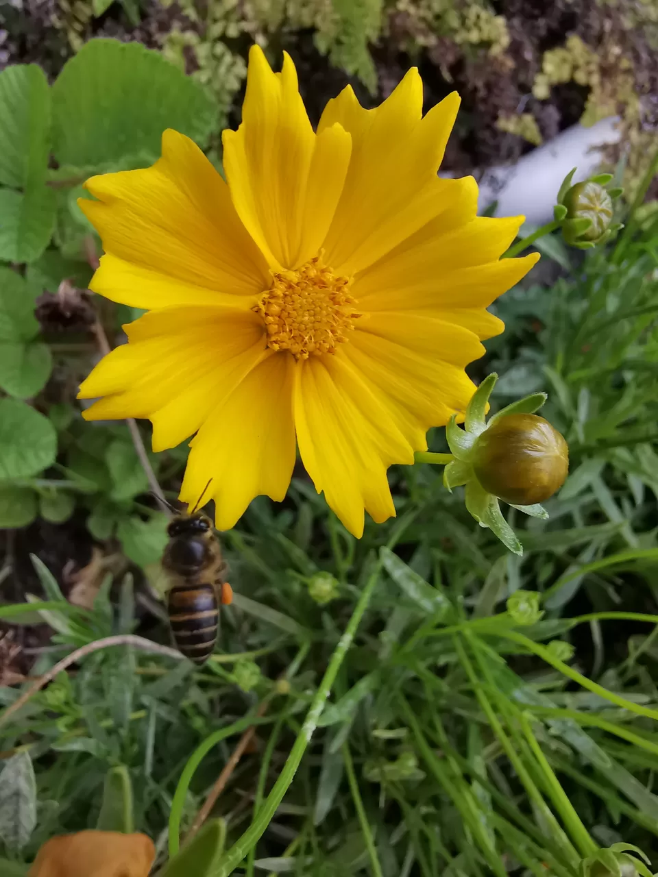 Photo of Munnar - Top Station Highway, Kannan Devan Hills, Kerala, India by Nithin