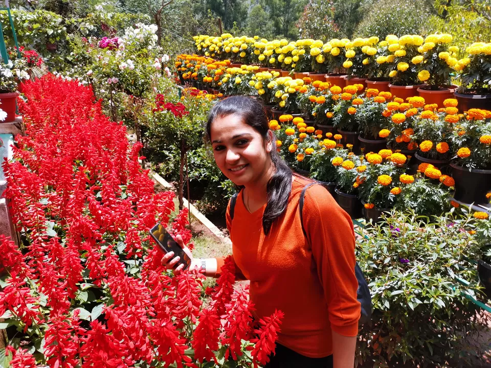 Photo of Honey bee tree, State Highway 18, Kannan Devan Hills, Kerala, India by Nithin